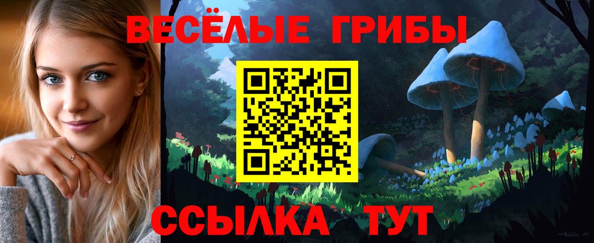 Галлюциногенные грибы мицелий Ачхой-Мартан