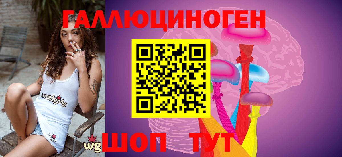 Галлюциногенные грибы MAGIC MUSHROOMS  Вход с VPN  Ачхой-Мартан  Галлюциногенные грибы прущие грибы 